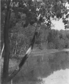 Иллюстрация к книге — Аксаков [i_048.jpg]