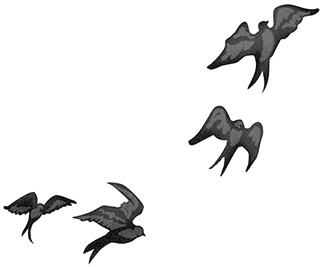 Иллюстрация к книге — Быть сильной 365 дней в году [i_006.jpg]