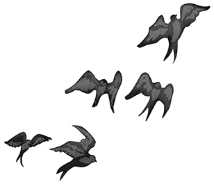 Иллюстрация к книге — Быть сильной 365 дней в году [i_007.jpg]