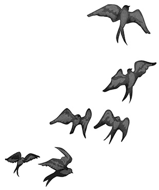 Иллюстрация к книге — Быть сильной 365 дней в году [i_008.jpg]