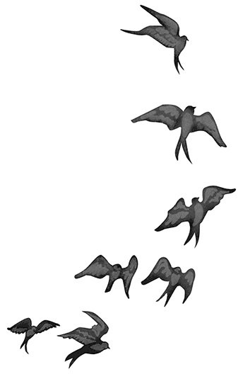 Иллюстрация к книге — Быть сильной 365 дней в году [i_009.jpg]