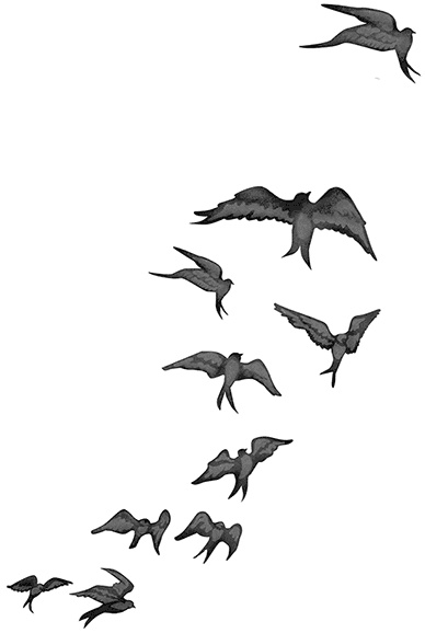 Иллюстрация к книге — Быть сильной 365 дней в году [i_012.jpg]