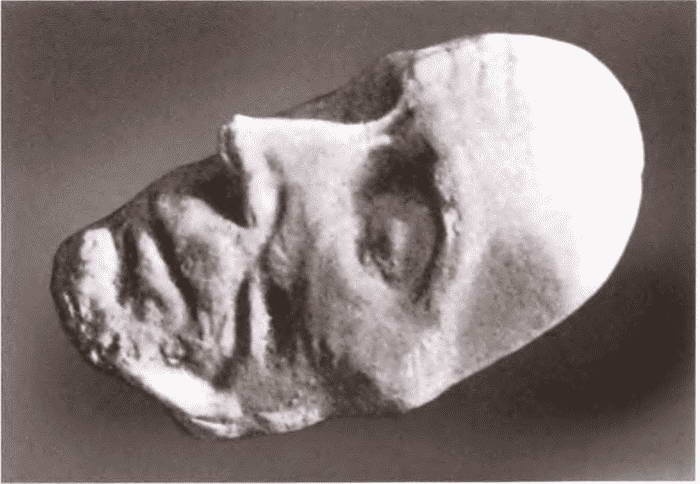 Иллюстрация к книге — Суворов [i_076.jpg]