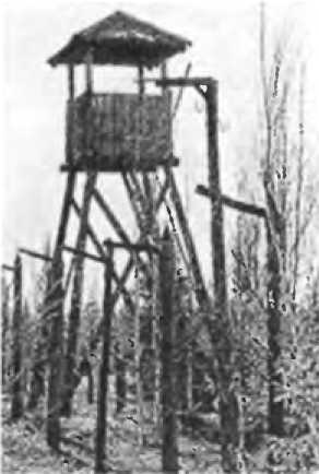 Иллюстрация к книге — Александр Коротков [i_045.jpg]