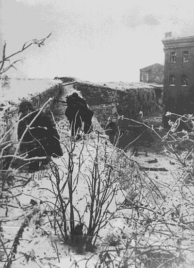 Иллюстрация к книге — Ленинградский фронт [i_018.jpg]