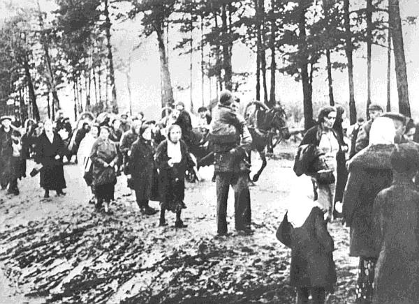 Иллюстрация к книге — Ленинградский фронт [i_022.jpg]