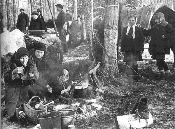 Иллюстрация к книге — Ленинградский фронт [i_086.jpg]