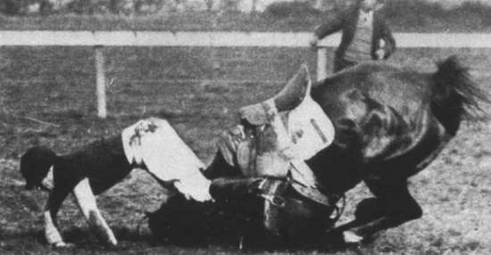 Иллюстрация к книге — Судьба короля Эдуарда [i_013.jpg]