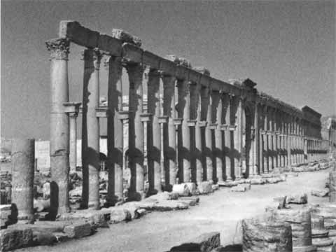 Иллюстрация к книге — Царь Соломон [i_037.jpg]