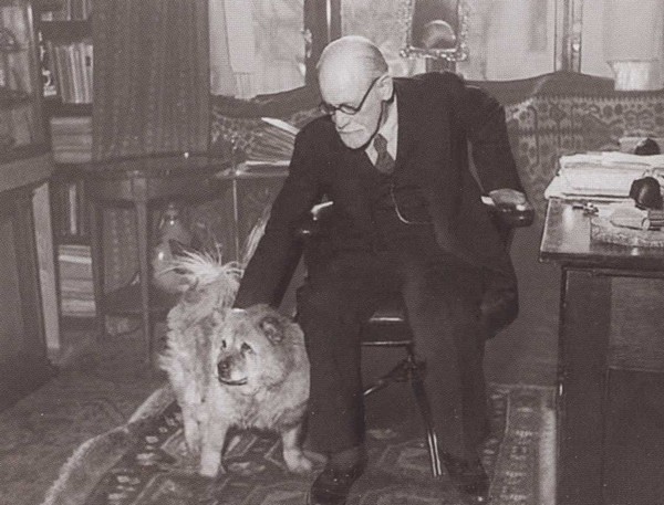 Иллюстрация к книге — Фрейд [i_049.jpg]