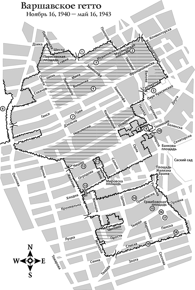 Иллюстрация к книге — Храброе сердце Ирены Сендлер [i_002.jpg]