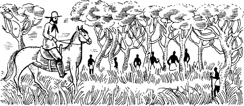 Иллюстрация к книге — Дело о Синей Бороде, или Истории людей, ставших знаменитыми персонажами [i_015.jpg]