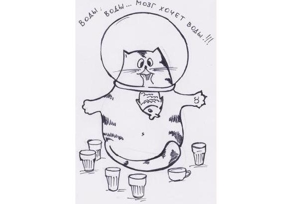 Иллюстрация к книге — Инструкции по эксплуатации мозга для обывателя [i_007.jpg]