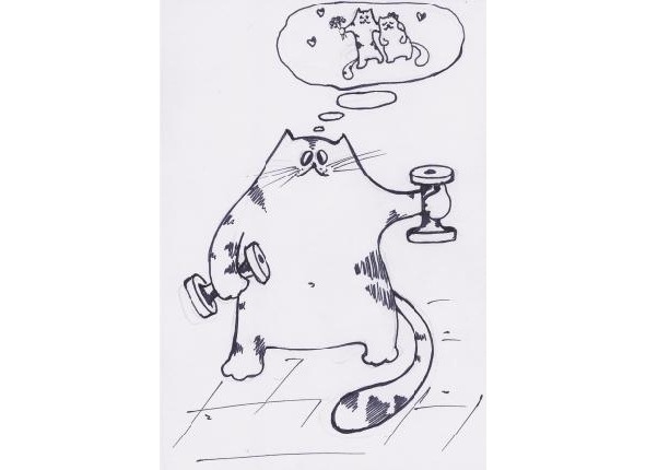 Иллюстрация к книге — Инструкции по эксплуатации мозга для обывателя [i_016.jpg]