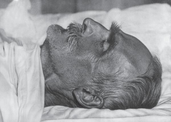 Иллюстрация к книге — Пилсудский [_62.jpg]