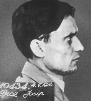 Иллюстрация к книге — Иосип Броз Тито [_7.jpg]