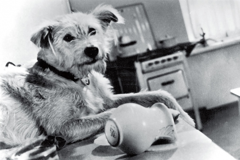 Иллюстрация к книге — Жизнь. Кино [i_010.jpg]