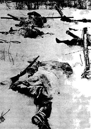 Иллюстрация к книге — Их послал на смерть Жуков? Гибель армии генерала Ефремова [i_030.jpg]