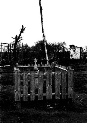 Иллюстрация к книге — Их послал на смерть Жуков? Гибель армии генерала Ефремова [i_089.jpg]