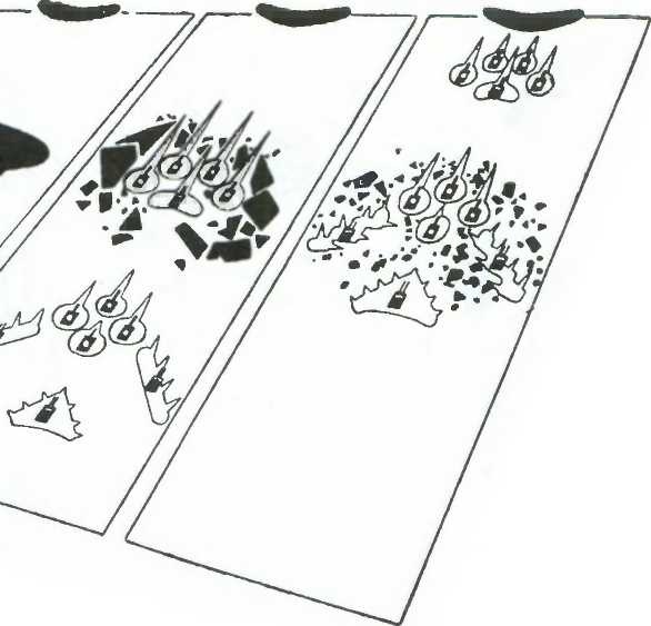 Иллюстрация к книге — Тактика в русской кампании [image10.jpg]