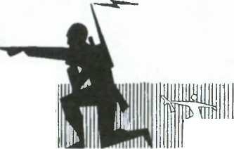 Иллюстрация к книге — Тактика в русской кампании [image8.jpg]