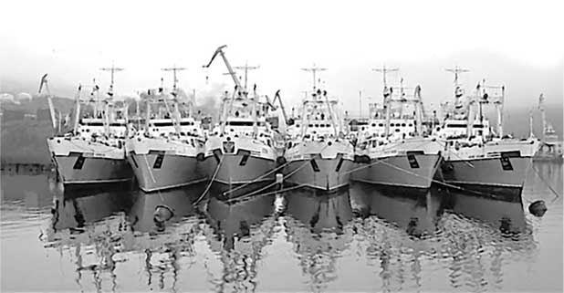 Иллюстрация к книге — Полвека в океане. История рыбных промыслов Дальнего Востока в рассказах, очерках, репортажах [i_005.jpg]