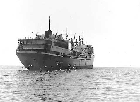 Иллюстрация к книге — Полвека в океане. История рыбных промыслов Дальнего Востока в рассказах, очерках, репортажах [i_008.jpg]