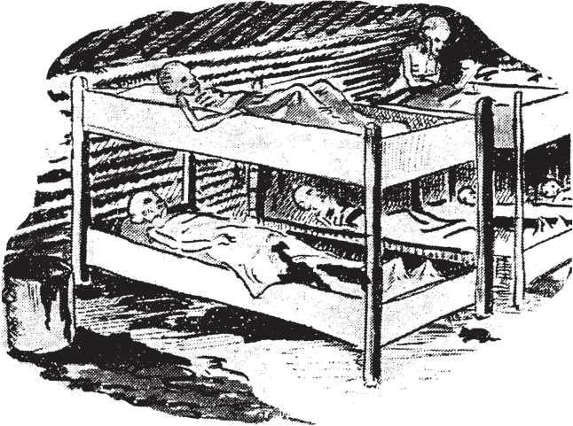 Иллюстрация к книге — Тамбов. Хроника плена. Воспоминания [i_035.jpg]