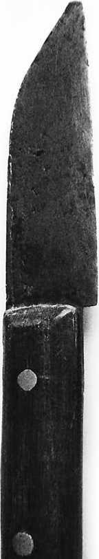 Иллюстрация к книге — Тамбов. Хроника плена. Воспоминания [i_038.jpg]