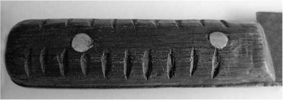 Иллюстрация к книге — Тамбов. Хроника плена. Воспоминания [i_059.jpg]