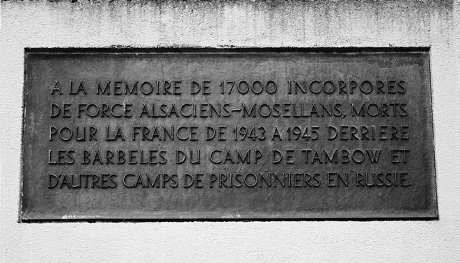 Иллюстрация к книге — Тамбов. Хроника плена. Воспоминания [i_080.jpg]