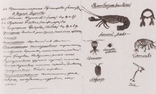 Иллюстрация к книге — Крупская [i_008.jpg]