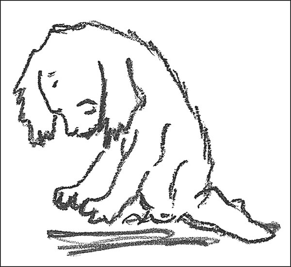 Иллюстрация к книге — Мэрилин Монро. Страсть, рассказанная ею самой [_021.jpg]