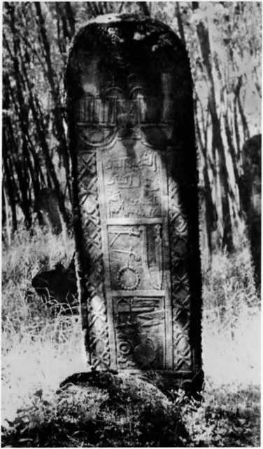 Иллюстрация к книге — Шейх Мансур [i_009.jpg]