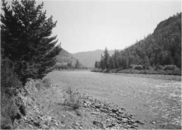 Иллюстрация к книге — Человек, лишённый малой родины [i_004.jpg]