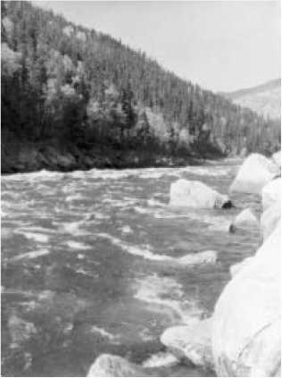 Иллюстрация к книге — Человек, лишённый малой родины [i_005.jpg]