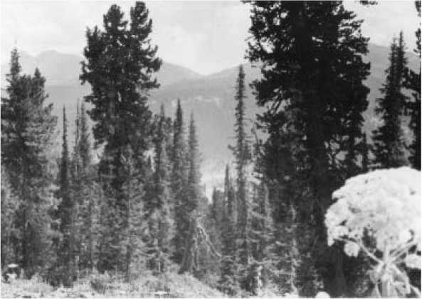 Иллюстрация к книге — Человек, лишённый малой родины [i_007.jpg]