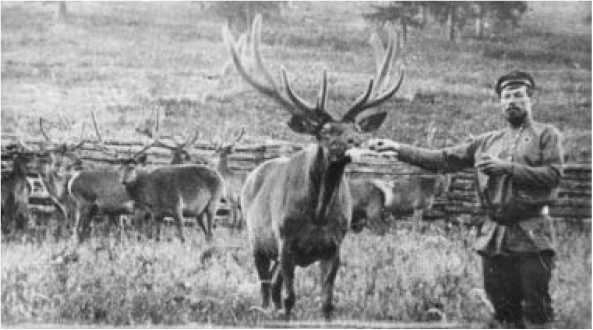 Иллюстрация к книге — Человек, лишённый малой родины [i_009.jpg]