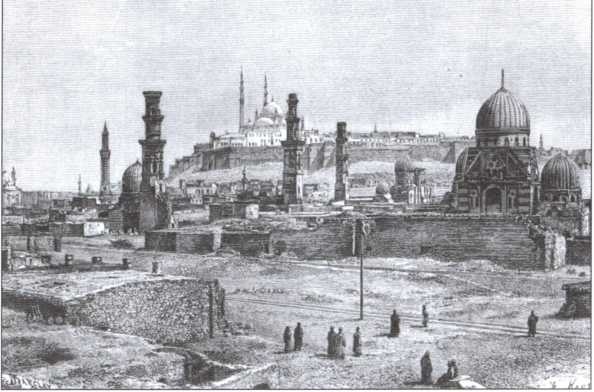 Иллюстрация к книге — Брем [i_013.jpg]