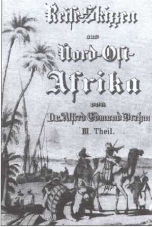 Иллюстрация к книге — Брем [i_016.jpg]