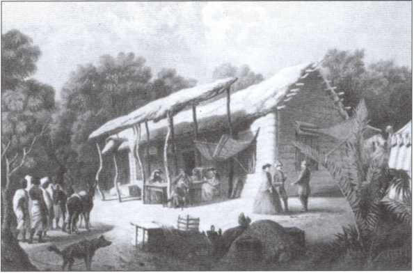 Иллюстрация к книге — Брем [i_019.jpg]