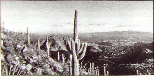 Иллюстрация к книге — Карлос Кастанеда. Путь мага и воина духа [i_011.jpg]