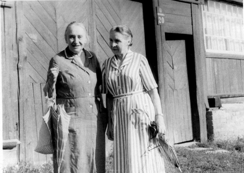 Иллюстрация к книге — &quot;Посмотрим, кто кого переупрямит...&quot;. Надежда Яковлевна Мандельштам в письмах, воспоминаниях, свидетельствах [i_055.jpg]