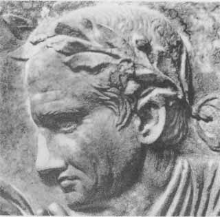 Иллюстрация к книге — Август [i_027.jpg]