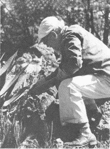 Иллюстрация к книге — Иосиф Григулевич. Разведчик, &quot;которому повезло&quot; [i_024.jpg]