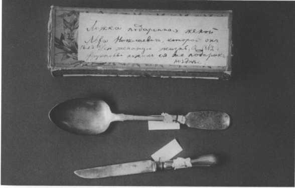 Иллюстрация к книге — Софья Толстая [img_13.jpg]