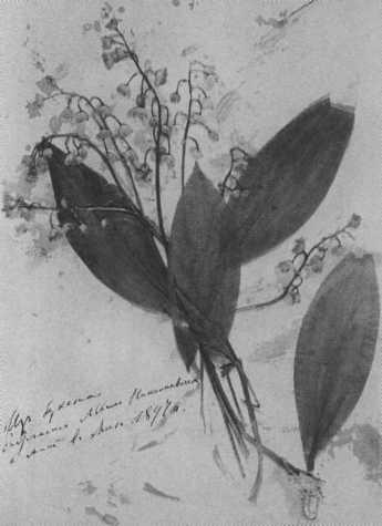 Иллюстрация к книге — Софья Толстая [img_22.jpg]