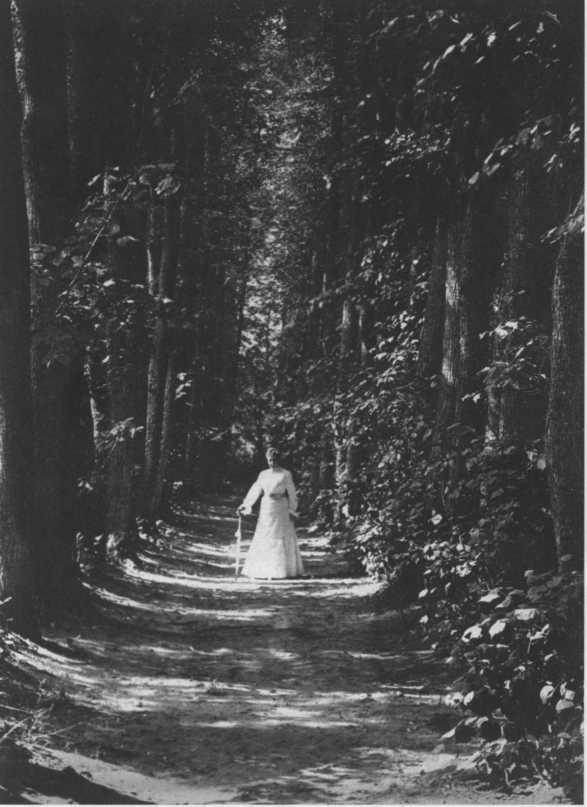 Иллюстрация к книге — Софья Толстая [img_26.jpg]