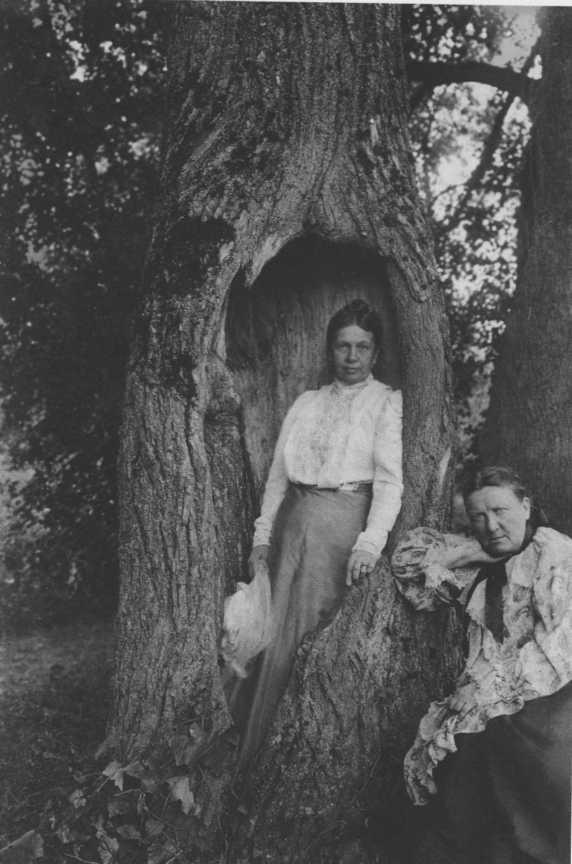 Иллюстрация к книге — Софья Толстая [img_33.jpg]