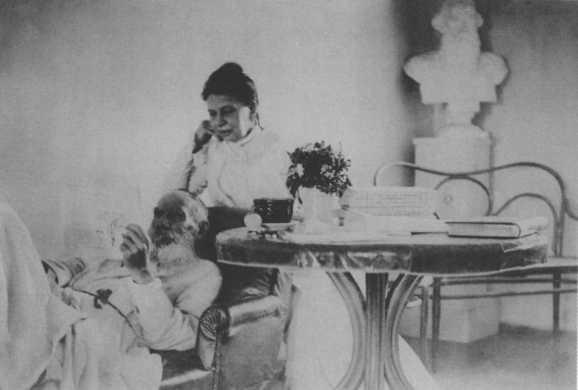 Иллюстрация к книге — Софья Толстая [img_35.jpg]